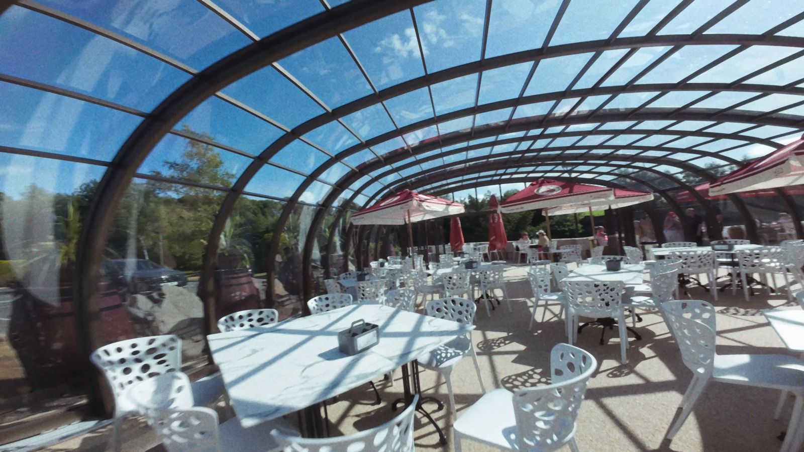 Inside the River Inn glasshouse with the roof open